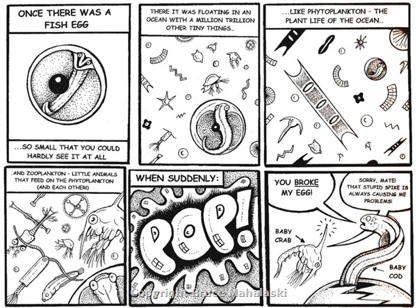 57 -Cod and Crab D- Plankton